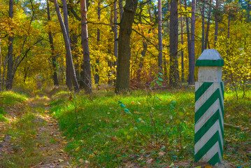ground road among the autumn forest near a landmark, peaceful outdoor seasonal scene © Yuriy Kulik