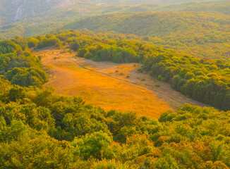 mountain ridge covered by a forest in light of early morning sun © Yuriy Kulik