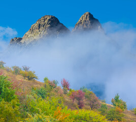 mountain valley covered by the forest in mist an dense clouds © Yuriy Kulik
