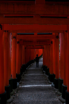Path through vermilion torii gates in Kyoto