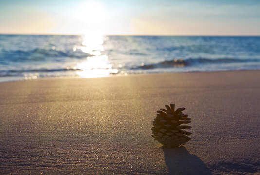 Christmas background with fir cone and turquoise water.