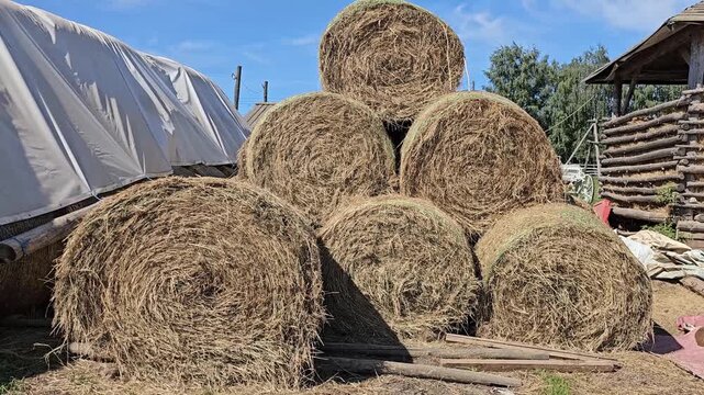 Bales of hay stacked in a farm setting during daytime