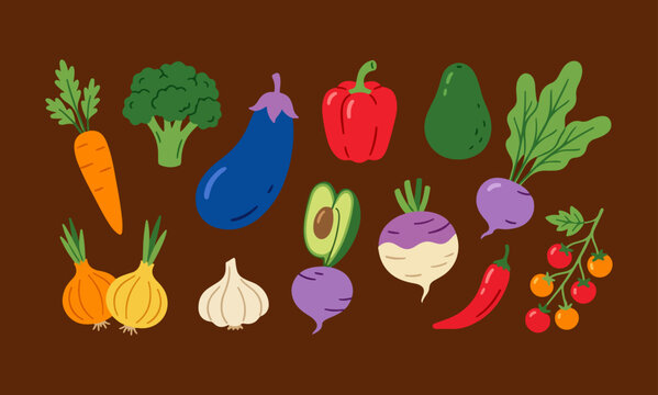 hand drawn carrot broccoli eggplant bell pepper avocado beetroot radish garlic onion chili tomato and leafy greens illustration