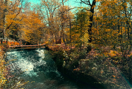 A serene autumn scene with a small waterfall cascading into a stream, surrounded by trees with golden leaves. The sunlight filters through the branches, creating a  picturesque scene in, Harden, UK