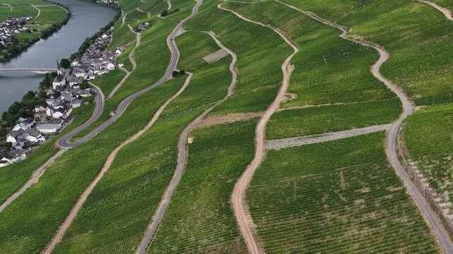 Steile Weinberge an der Moselschleife. Serpentinenwege schl&auml;ngeln sich durch die gr&uuml;nen Rebenh&auml;nge bei Piesport, im Hintergrund flie&szlig;t die malerische Mosel.