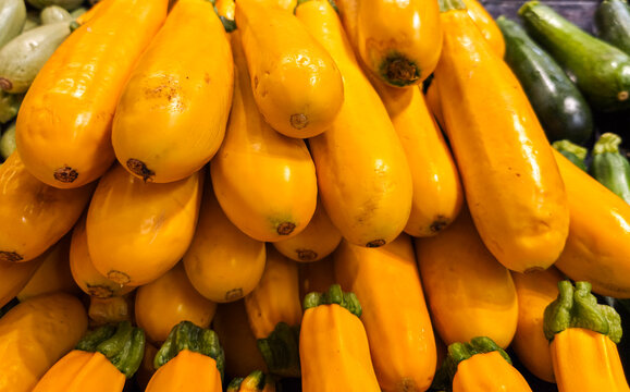 A table  of ripe yellow zucchini squash at a farmers market