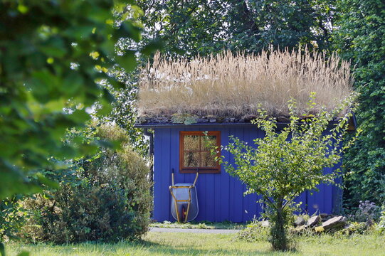 Blaues Gartenhaus mit Dachbegr&uuml;nung