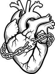 Obraz premium Anatomical Human Heart Wrapped in Broken Chain, Black and White Tattoo Style Line Art Illustration Symbolizing Freedom and Breaking Free
