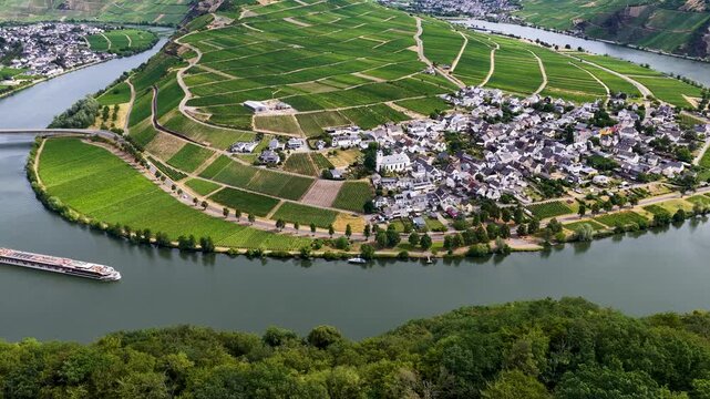 Luftaufnahme der malerischen Moselschleife bei Minheim mit einem eleganten Flusskreuzfahrtschiff auf dem Wasser, umgeben von gr&uuml;nen Weinbergen im Sommer.