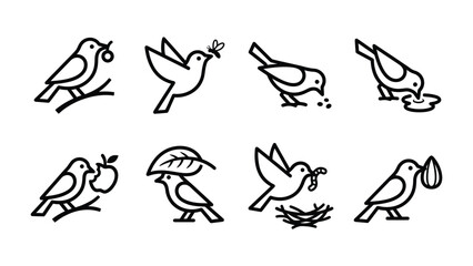 Obraz premium Set of Bird Icons: A collection of minimalist line art icons depicting various bird activities, such as eating, drinking, carrying food, and interacting with nature.