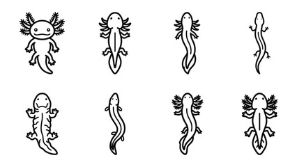 Fototapeta premium Axolotl Collection: A set of stylized, simple line drawings showcasing the unique appearance and varied poses of the axolotl, a fascinating aquatic salamander, presented as a graphic resource.