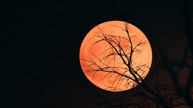 A Halloween background featuring a large circular orange moon projected onto a dark textured wall, with delicate branches crossing its surface as shadows, minimalist conceptual photography