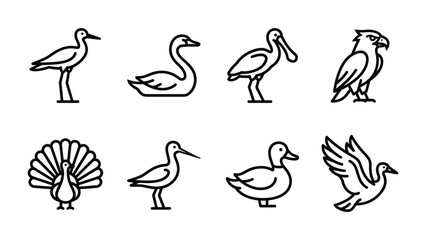 Obraz premium Set of Bird Icons: A collection of minimalist line art illustrations depicting various bird species, from graceful swans to majestic eagles and elegant peacocks.