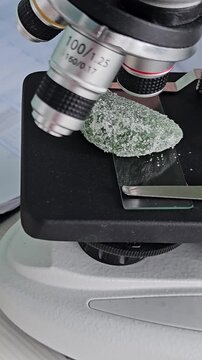 Examining a piece of sweet green fruit jelly under a microscope in a laboratory setting, with a sharp focus on the details.