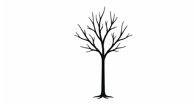 Minimalist young leafless tree silhouette vector with bare branches