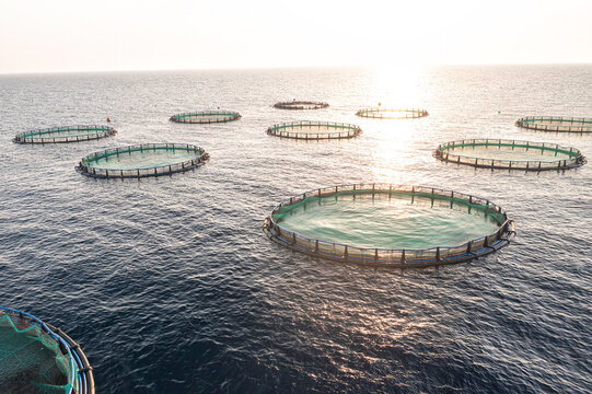 Fish farms in Mediterranean sea near Cyprus at Sunset