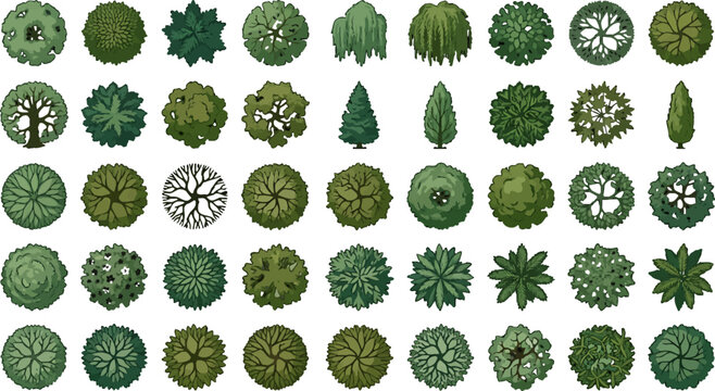 Top view tree vectors set for architectural landscape design plan
