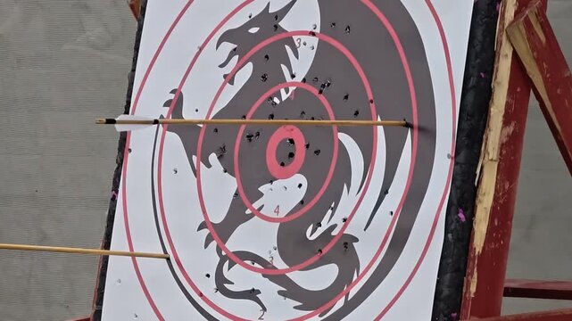 A close-up view of a target with a dragon logo