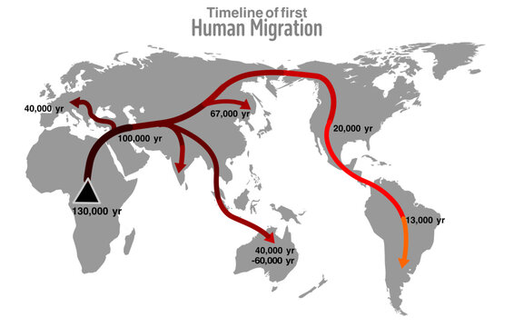 Early human migration timeline, world map.. First journey of human beings from Africa to Asia, Europe, America and Australia. Gray map, red arrows. Vector illustration	