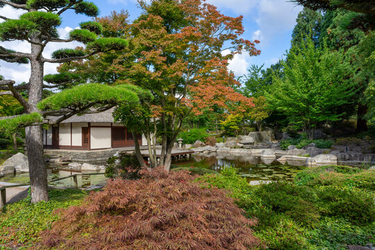Hamburg, Deutschland: St&auml;dtetrip mit Besuch im Gr&uuml;nen im Planten un Blomen, Japanische Garten, Botanischer Garten - Ruhe, Erholung im Stadt Park