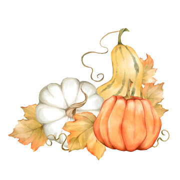 Hand-drawn autumn pumpkin cluster with fall leaves