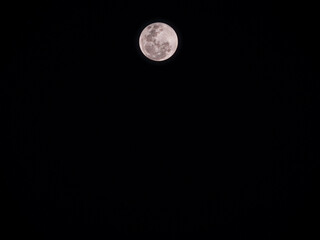 Stunning full moon glowing in a pure black night sky. Detailed lunar craters with a warm pinkish tint © MuhammadRizki