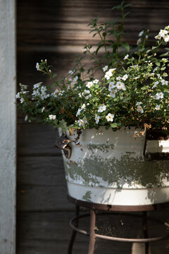 rustic boho metal planter with wildflowers in front of dark wood exterior
