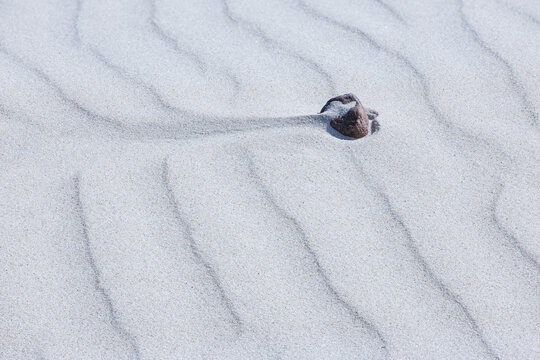 Natural white sand pattern background texture
