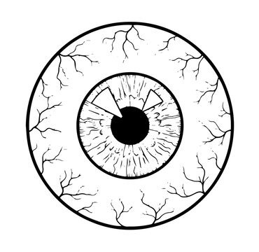 Bloodshot eyeball with veins detailed line art vector illustration