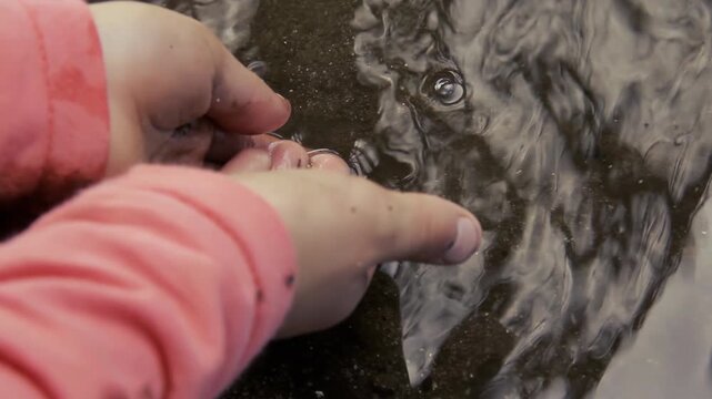 Little Girl Releasing Tadpole Into Natural Pond - 4K