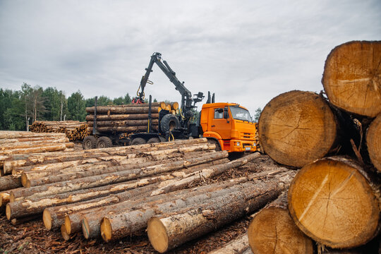 Orange logging truck with crane loading timber logs in a forest area, stacks of cut trees and cloudy sky visible in the background