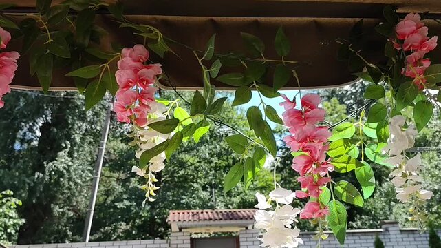 Pink and white wisteria branches sway in the breeze while filming from a swing, with a green lawn and fence in the background.
