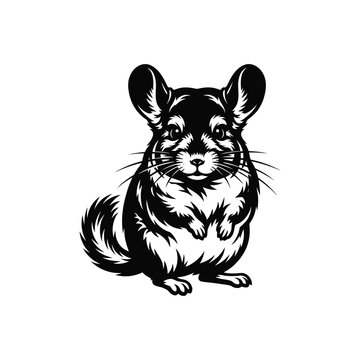 Black and white illustration of a cute fluffy chinchilla sitting and looking at the camera