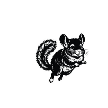 Cute little chinchilla animal jumping in a playful style black and white ink drawing illustration
