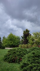 Obraz premium Green trees under dark cloudy sky before rain