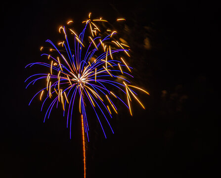 Bright fireworks burst in the night sky, displaying colors of blue and gold. This event takes place at a city park during a local celebration. People gather to watch the show.