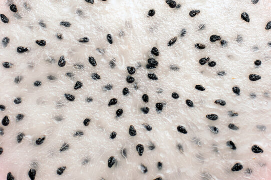 Extreme closeup of dragon fruit pulp texture with black seeds, white flesh background, macro detail of fresh pitaya, high quality photo