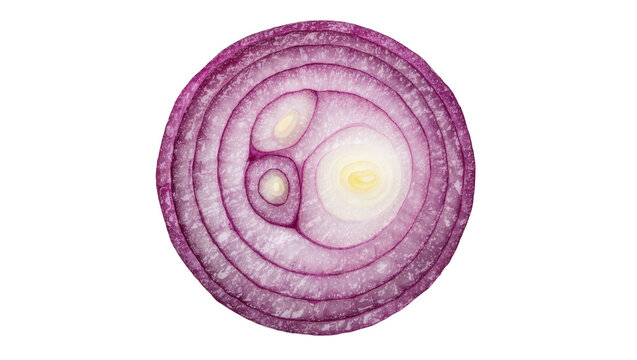 Cross section of a vibrant red onion with concentric rings, isolated on transparent background