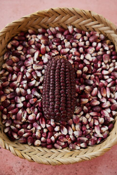 Close up of basket full of purple corn, purple corncob in the center.