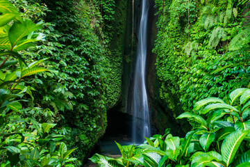 Lush green jungle surrounds a narrow cascading waterfall and dark natural pool in Bali, Indonesia. © Andrei Tomas