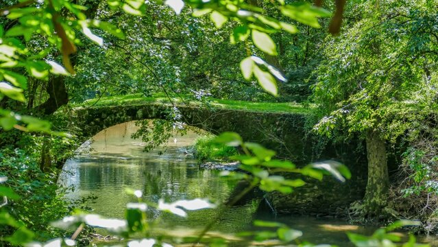 The scene shows a stone bridge over a clear stream. Trees surround the area, creating a natural setting. Sunlight filters through the leaves, adding to the outdoor atmosphere.