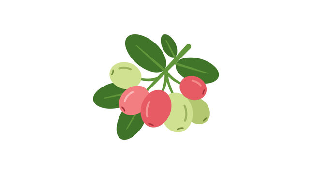 Bunch of cranberries with green leaves a flat vector illustration