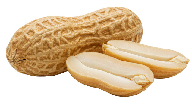 Whole peanut shell with two halves of the kernel, isolated on transparent background