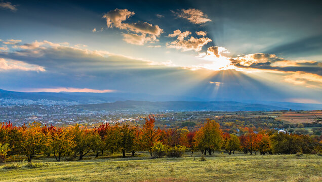 beautiful autumn landscape with colorful trees