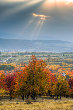 beautiful autumn landscape with colorful trees
