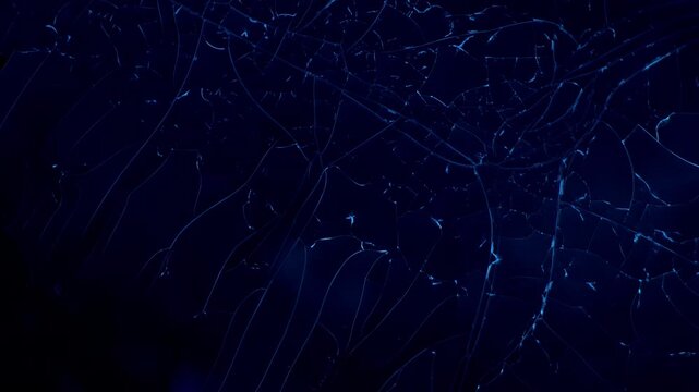 Microscope real time footage of marine collagen peptide fluorescence under 365nm ultraviolet UV light wave captured with professional 5x microscope objective lens showing protein film micro cracking