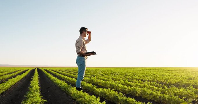 Young agronomist standing in a flourishing carrot crop, analyzing the harvest and taking notes on a tablet. Smart farming concept
