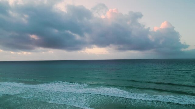 Sargassum seaweed line drifting along calm turquoise shoreline at dusk