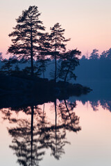 Silhouette of trees by lake at sunset © FOLIO