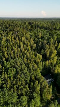 Lush Green Finland Countryside from Above on a Sunny Summer Day
